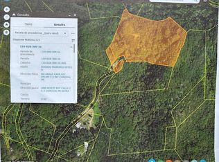 Bo Abras Carr 821 Kmhm #7.3, Corozal, PR 00783