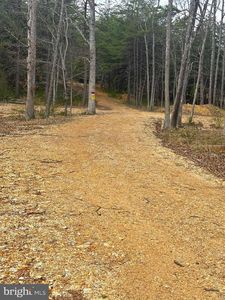 Dillions Run Rd, Capon Bridge, WV, 26711
