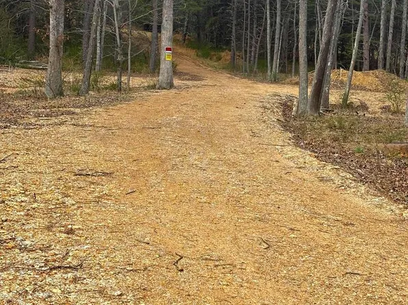 Dillions Run Rd, Capon Bridge, WV 26711