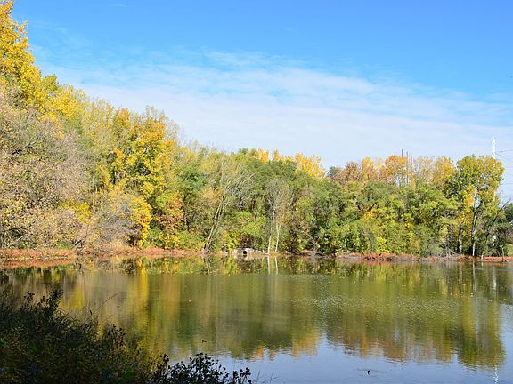 Pond View
