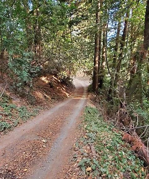 road less traveled