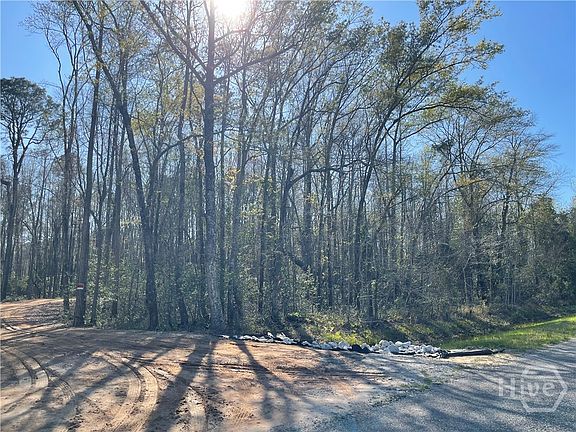 2nd image of 0 Savannah Town Road