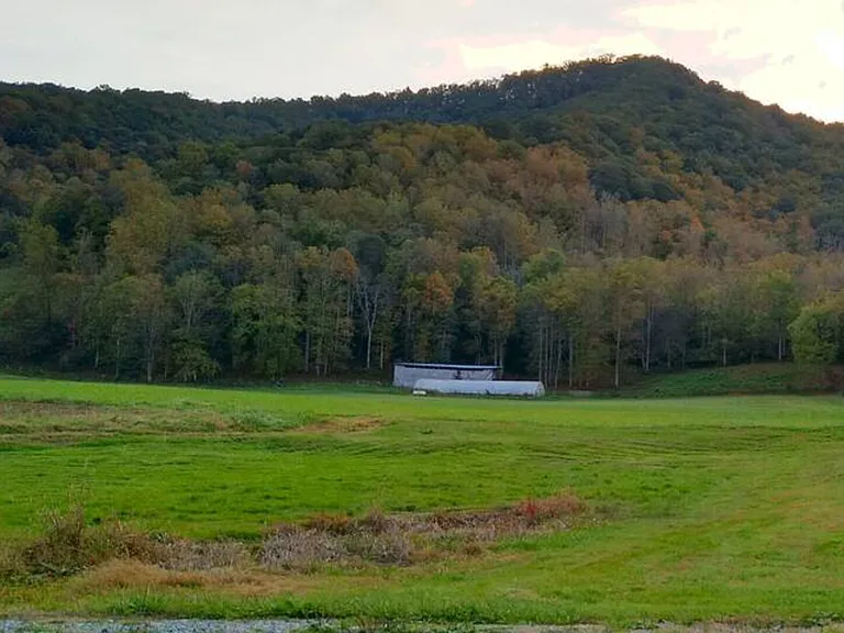 Dillingham Rd — Photo 17