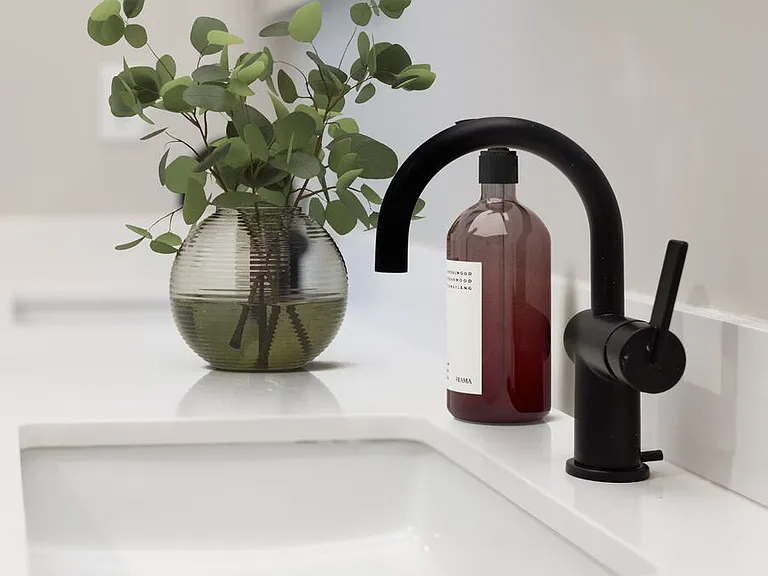 Signature Collection bath with matte black finishes