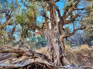 20303 Road 10, Pleasant View, CO 81331