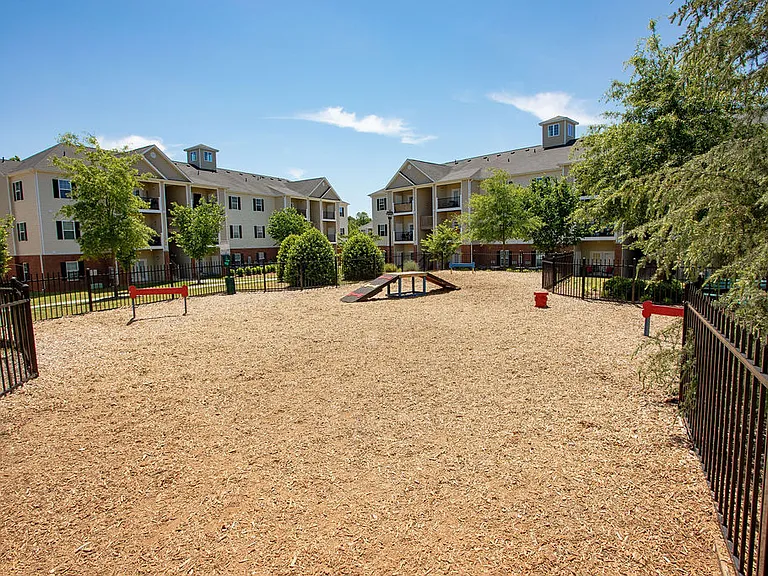 Clemmons Town Center Apartments — Photo 9