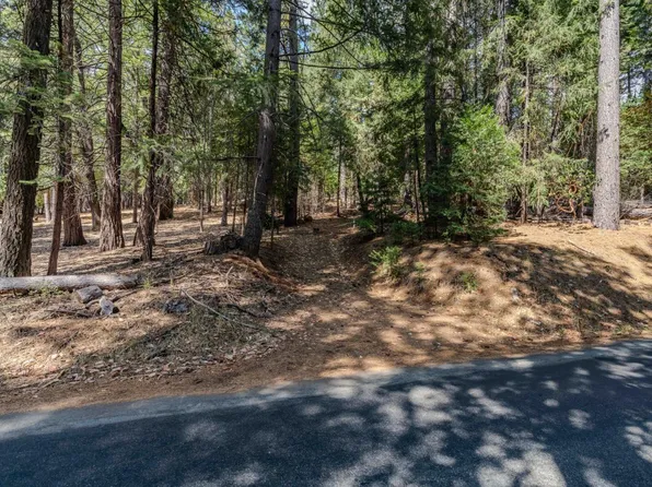 27367 Ashland Dr, Pioneer, CA 95666