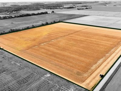 TRACT 3 Rr 111, Paulding, OH, 45879