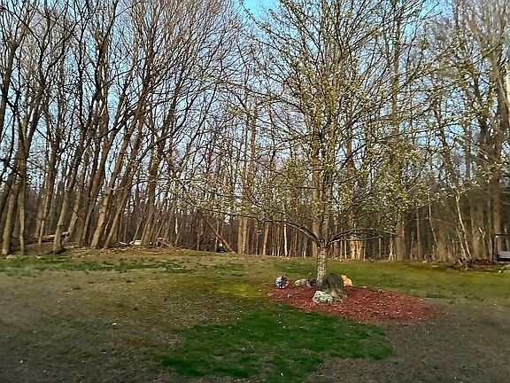4th image of 190 Mount Eve Rd