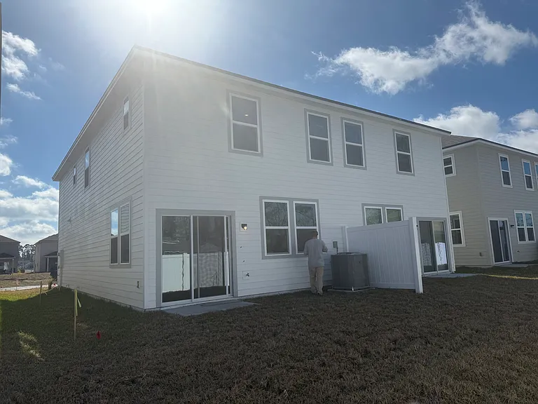 Brazil Nut Cir — Photo 5