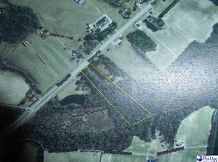 Tbd S Highway 501, Marion, SC 29571