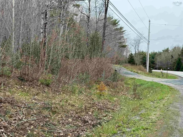 Highway 10 Lot 5, Springfield, NS B0R 1H0