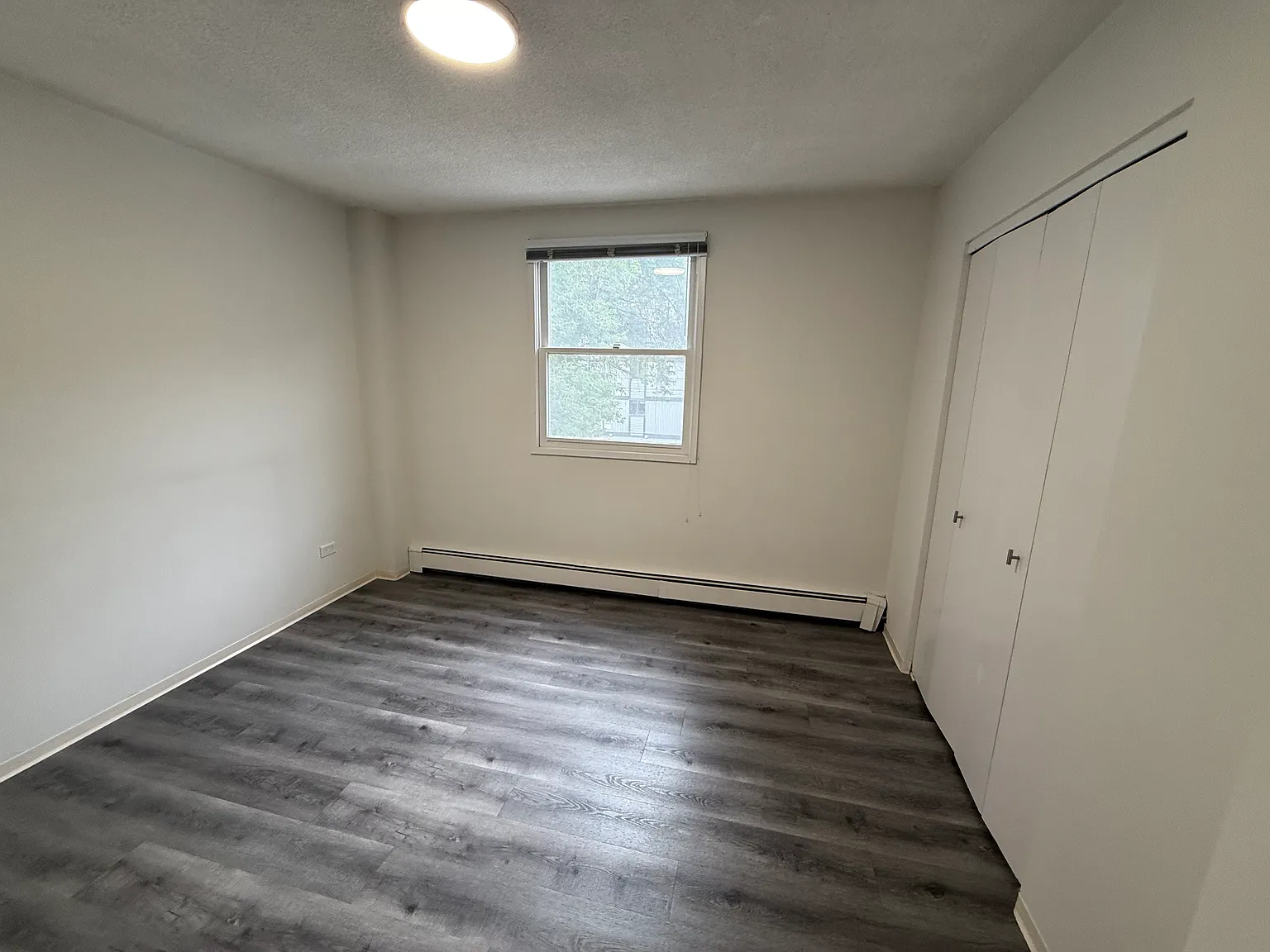 Bright 1 Bed + 1 Bath Apartment in the Heart of Mission! — Photo 4