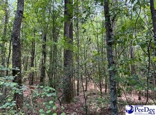 804 Floyds Rd LOT 1, Darlington, SC 29540