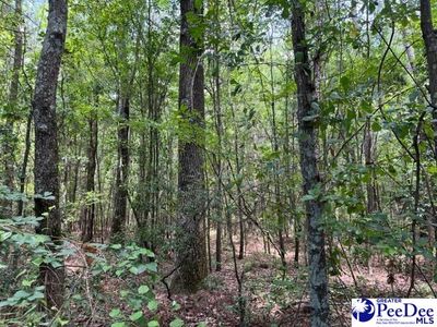 804 Floyds Rd LOT 1, Darlington, SC, 29540