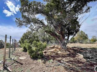 31 Road, Mancos, CO 81328