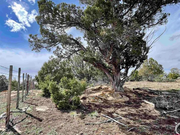 TBD 31 Road, Mancos, CO 81328