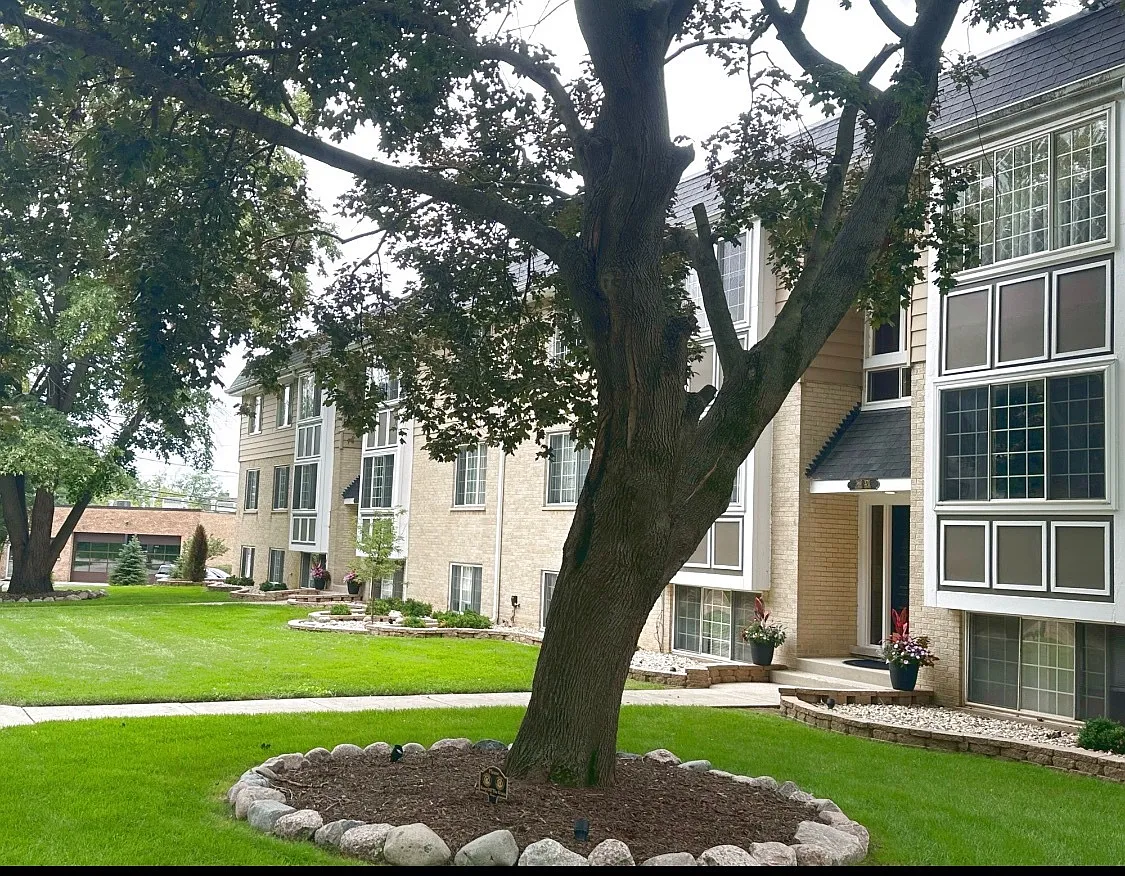 2 bed, 1000 sqft, $1,595 — Photo 2