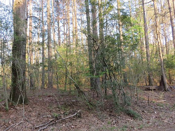 4th image of 0 Woodland St