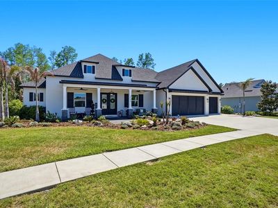 3944 COVE LAKE PLACE, Land O Lakes, FL, 34639