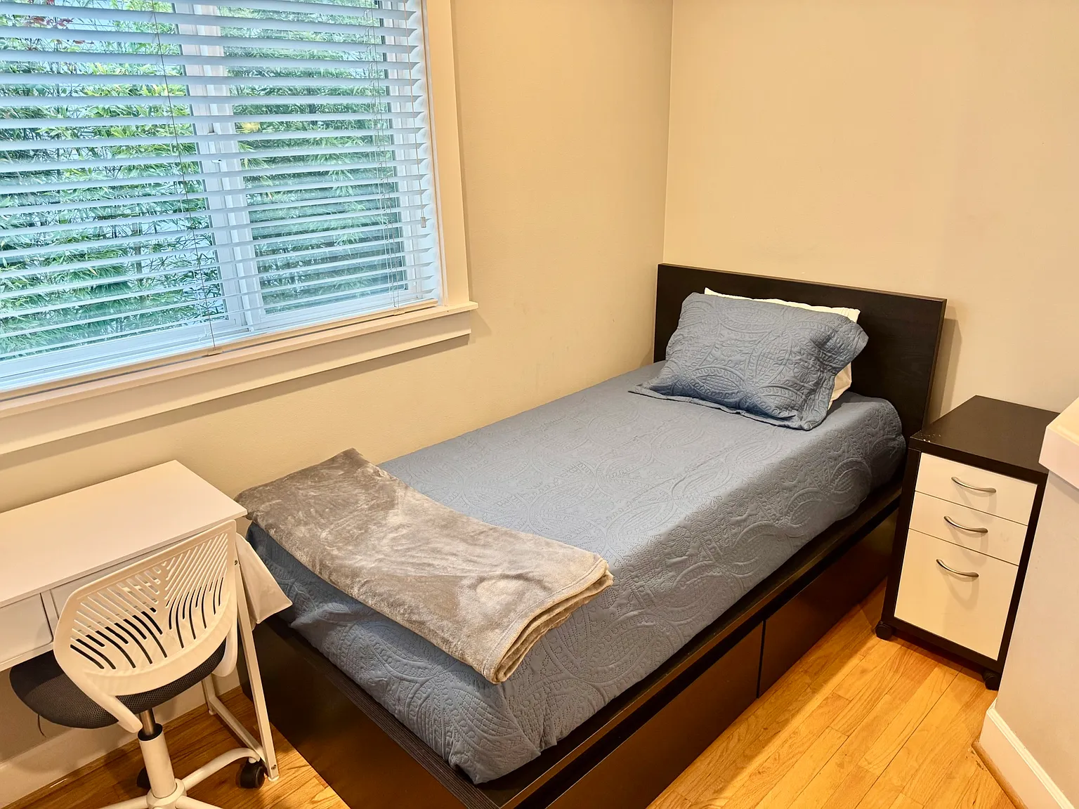 1 bed, 4129 sqft, $750 — Photo 3