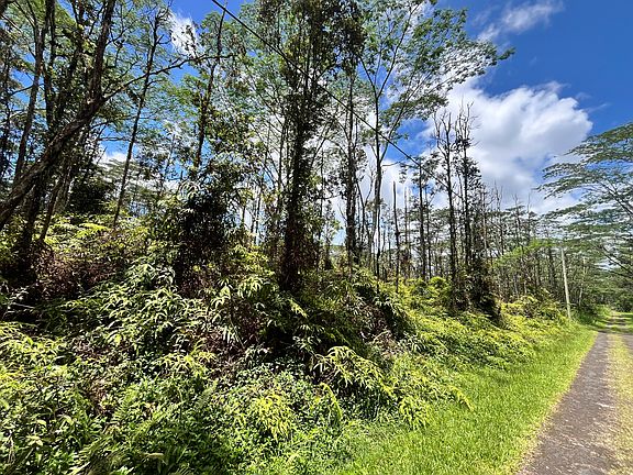 5th image of Pikake Rd