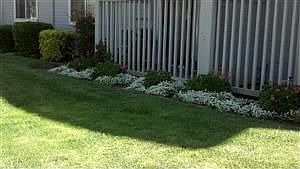 5th image of 1220 La Loma Ave APT 36