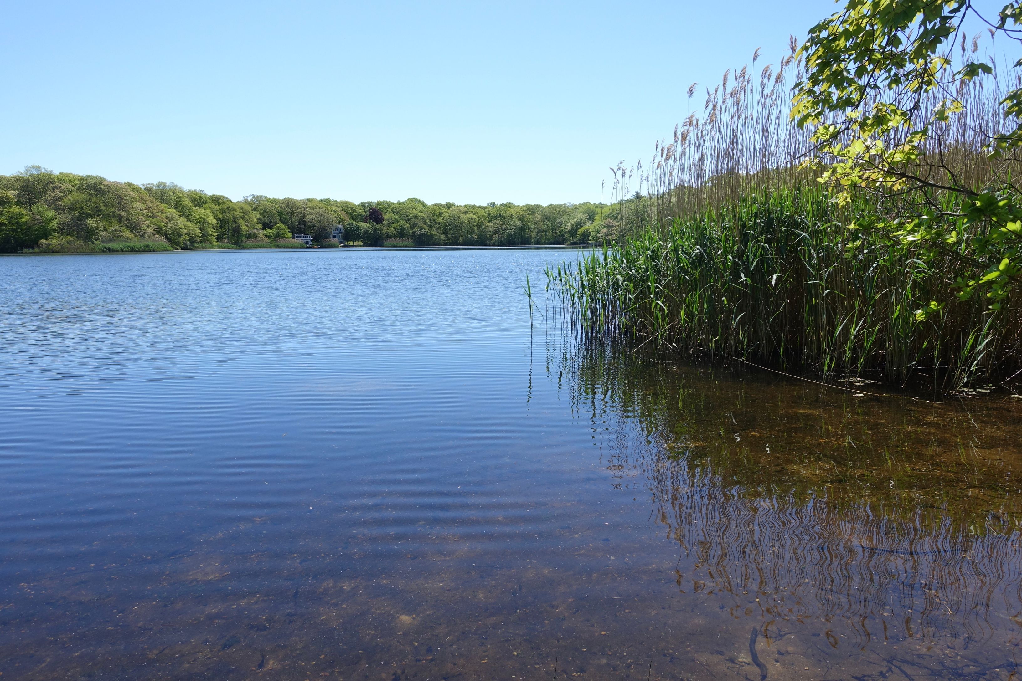 278 Big Fresh Pond Rd in Southampton Out East