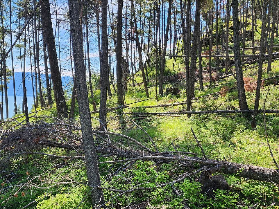 38785 Mary B Ln, Rollins, MT 59931 MLS 30005947 Zillow