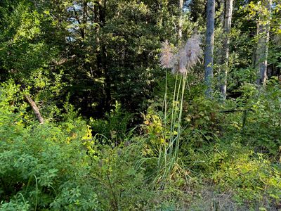 1 One Sage Rd, Crescent City, CA, 95531