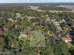 11 Capwing Dr, Beaufort, SC 29902