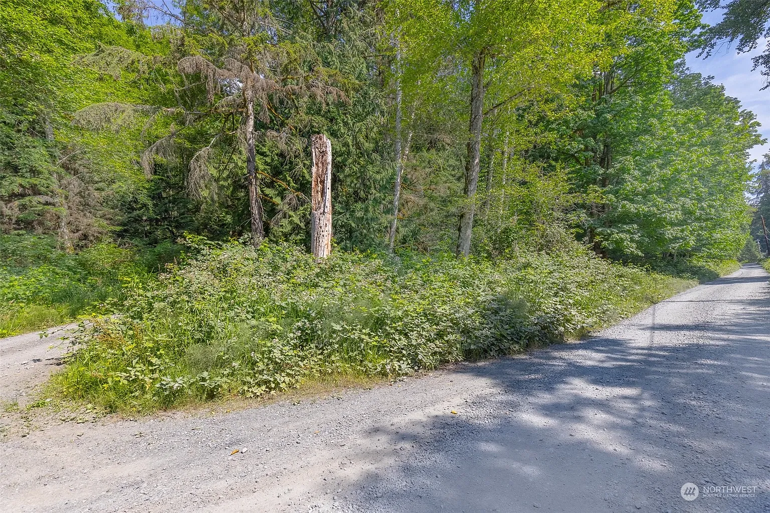 0 XX Ebey Mountain Road photo 1