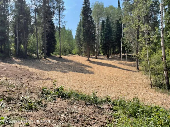 13 Alpine Meadow Loop, Alpine, WY 83128