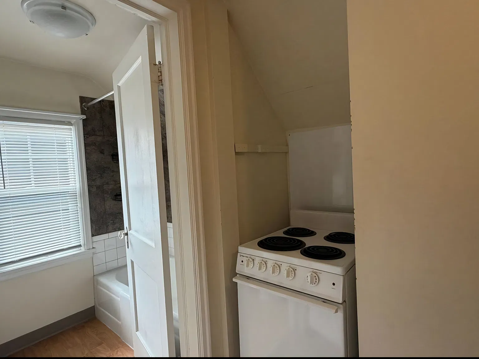 1 bed, $1,200 — Photo 3