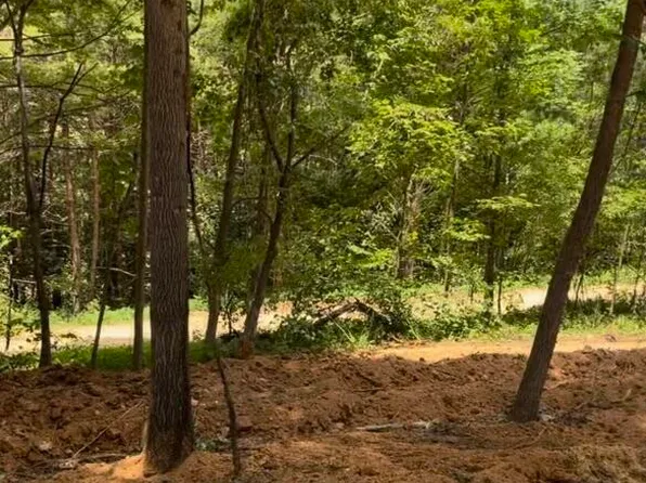 Jim Davis Rd, Tellico Plains, TN 37385