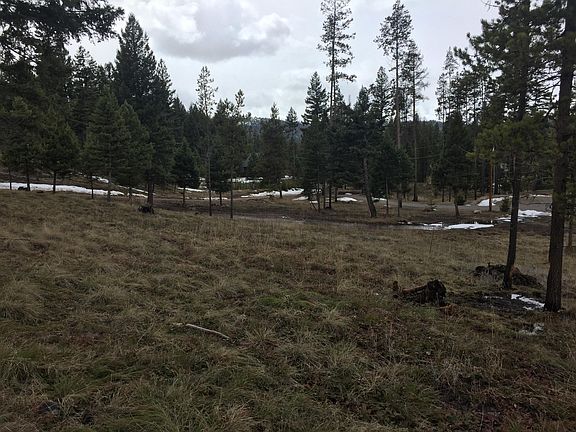 4th image of 336 Drew Creek Loop