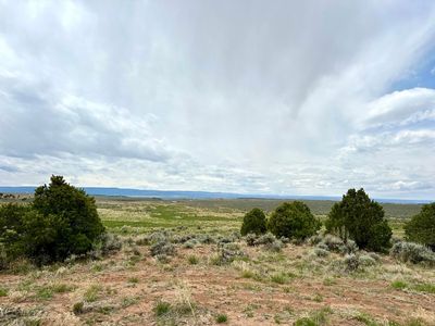 15451 Holloway Ln, Glade Park, CO, 81523