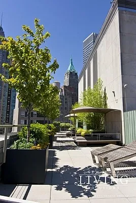 Rented by NY Living Solutions | media 32