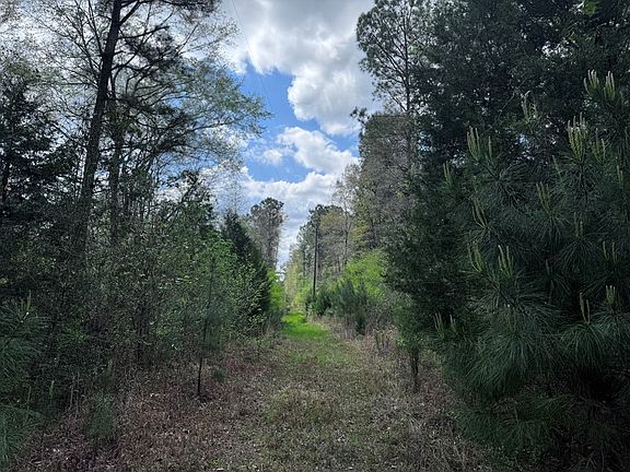 4th image of 31 E State Highway 26 E