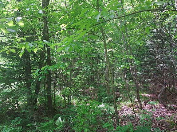 5th image of 9 Private Road Wi #139