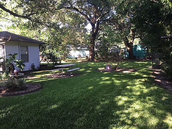 Back yard