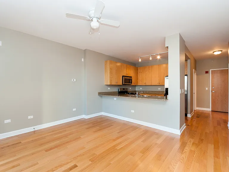 451 W Huron St #703 — Photo 8