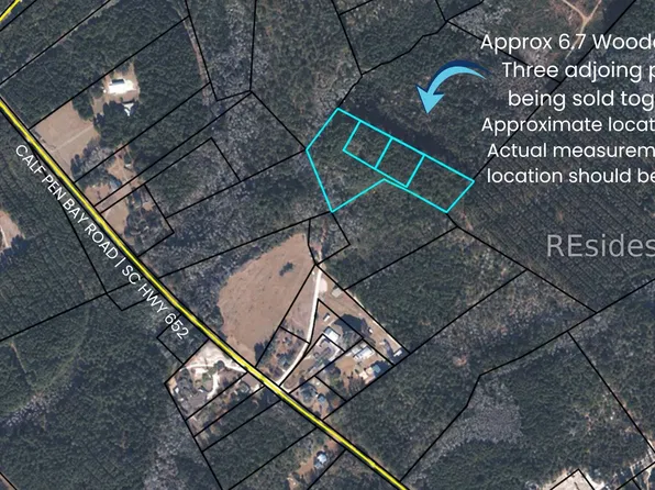 TBD Calf Pen Bay Road, Pineland, SC 29934