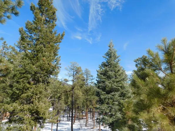 29 Eric Ln, Alpine, AZ 85920