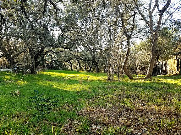 Live oaks & mature trees