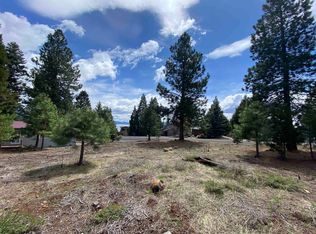 3385 Springwood Cir, Lake Almanor, CA 96137