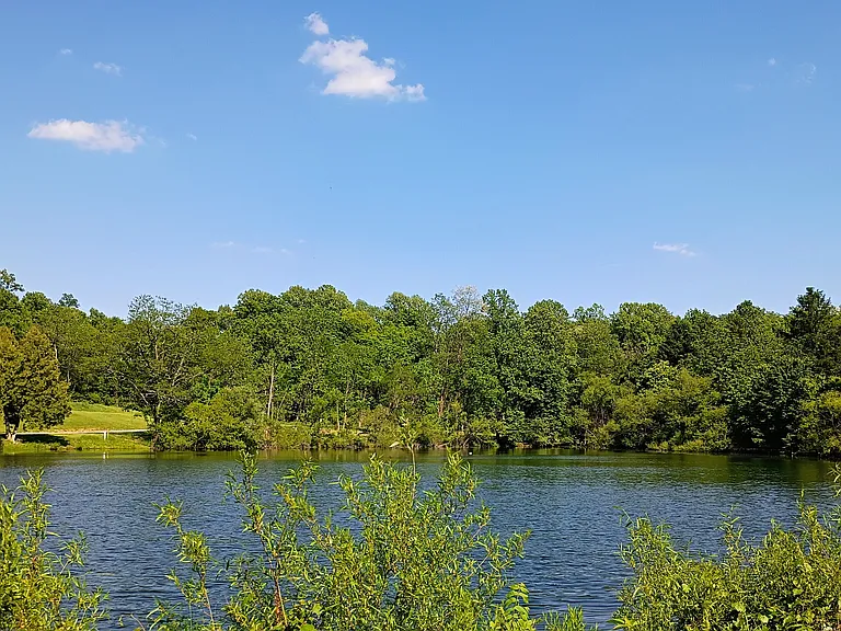 10 Deer Lk — Photo 1