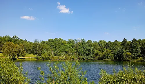 10 Deer Lk Photo 1