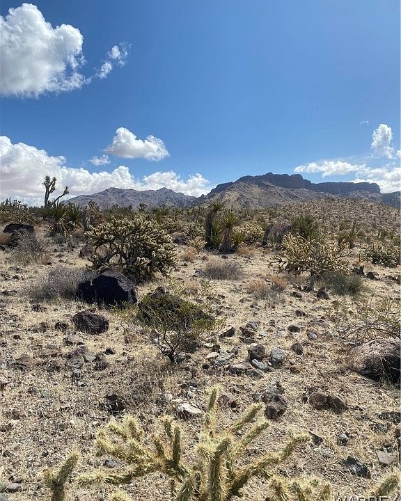 1st image of 328-06-118 NEEDLE Drive