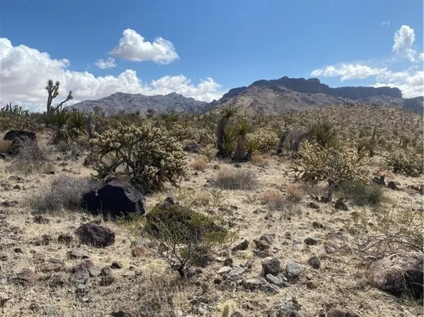 328-06-118 N Needle Dr, Dolan Springs, AZ 86441